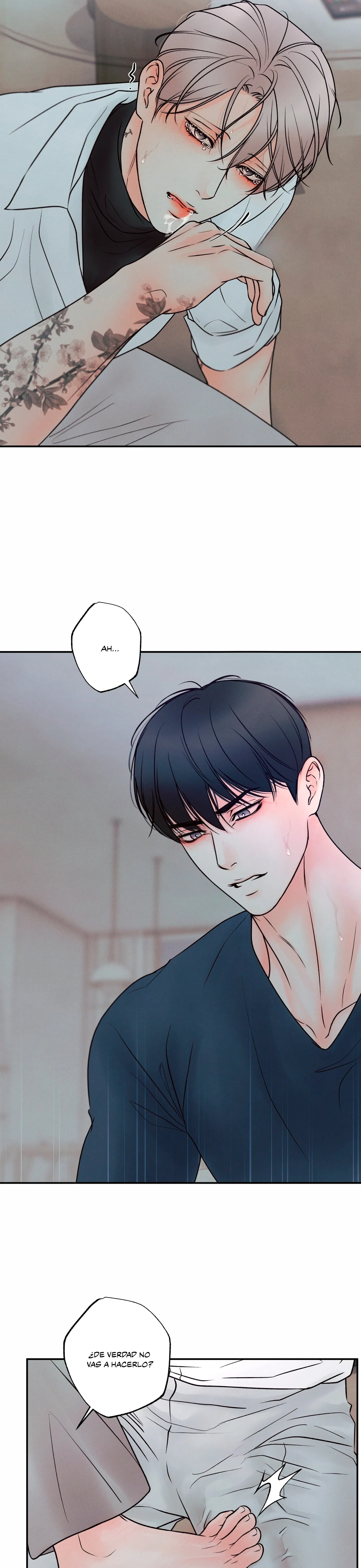 29 El limite del engaño