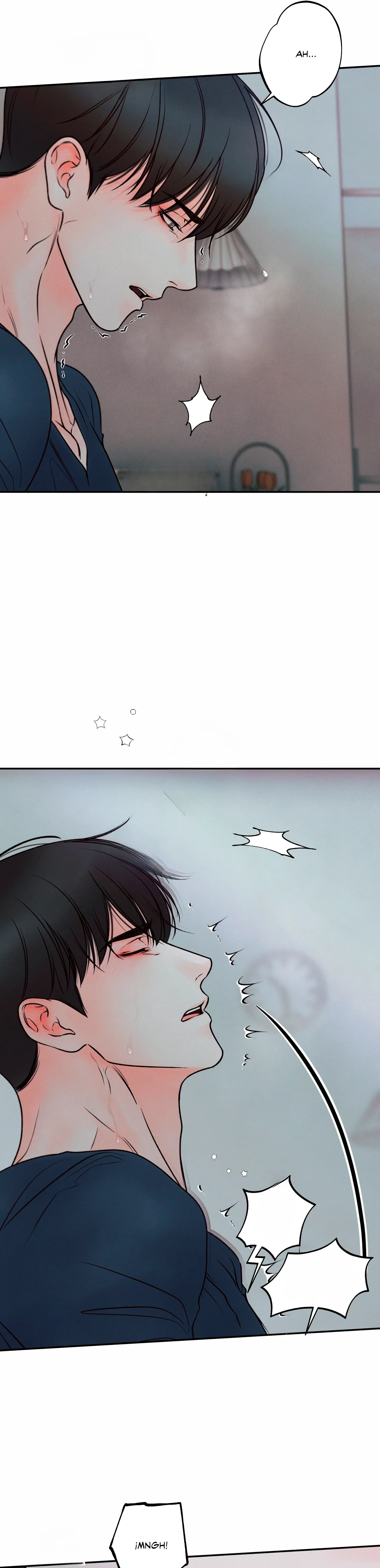 25 El limite del engaño