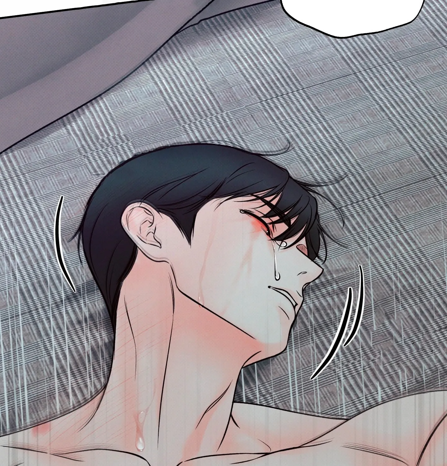 28 El limite del engaño