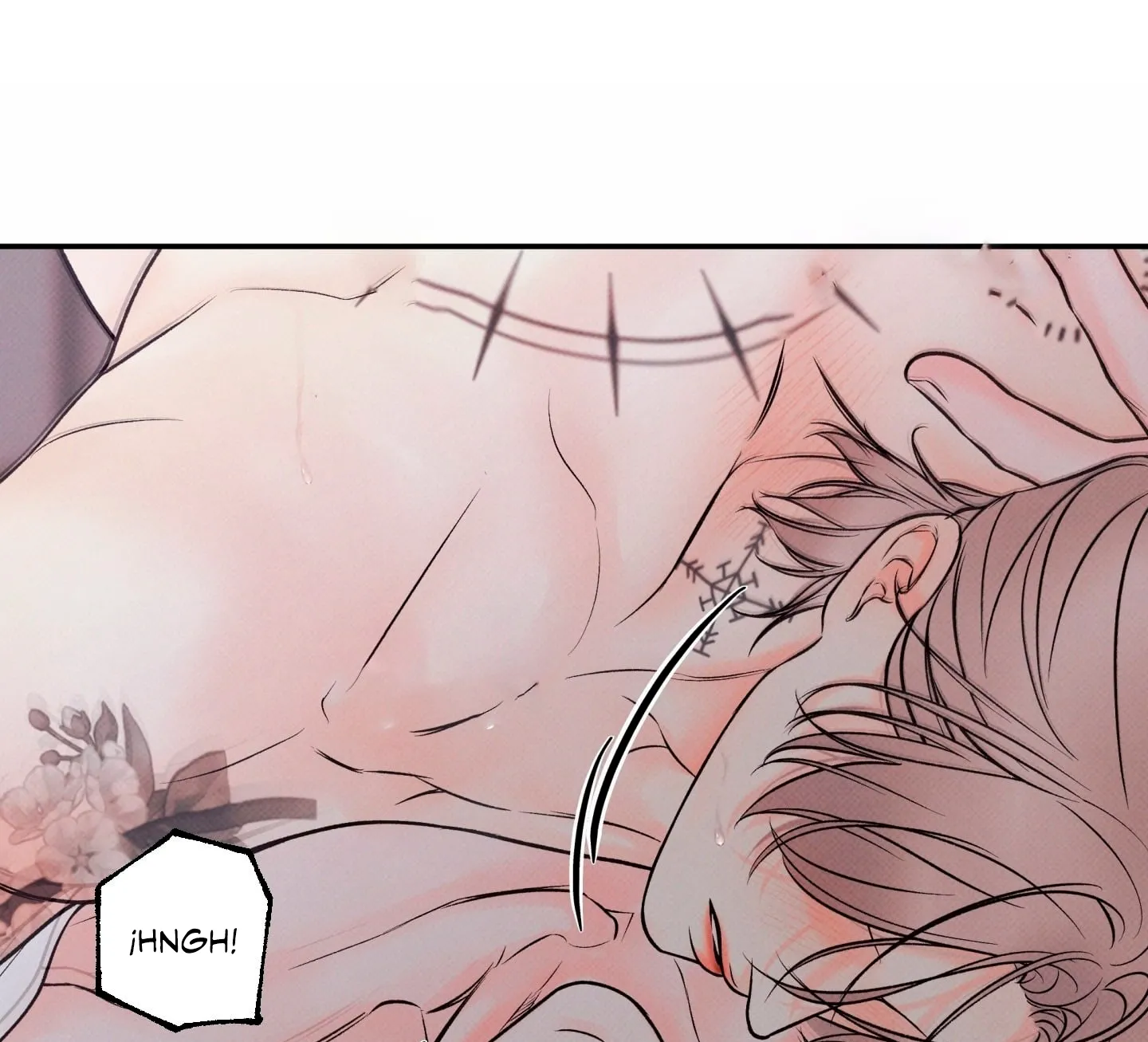 14 El limite del engaño