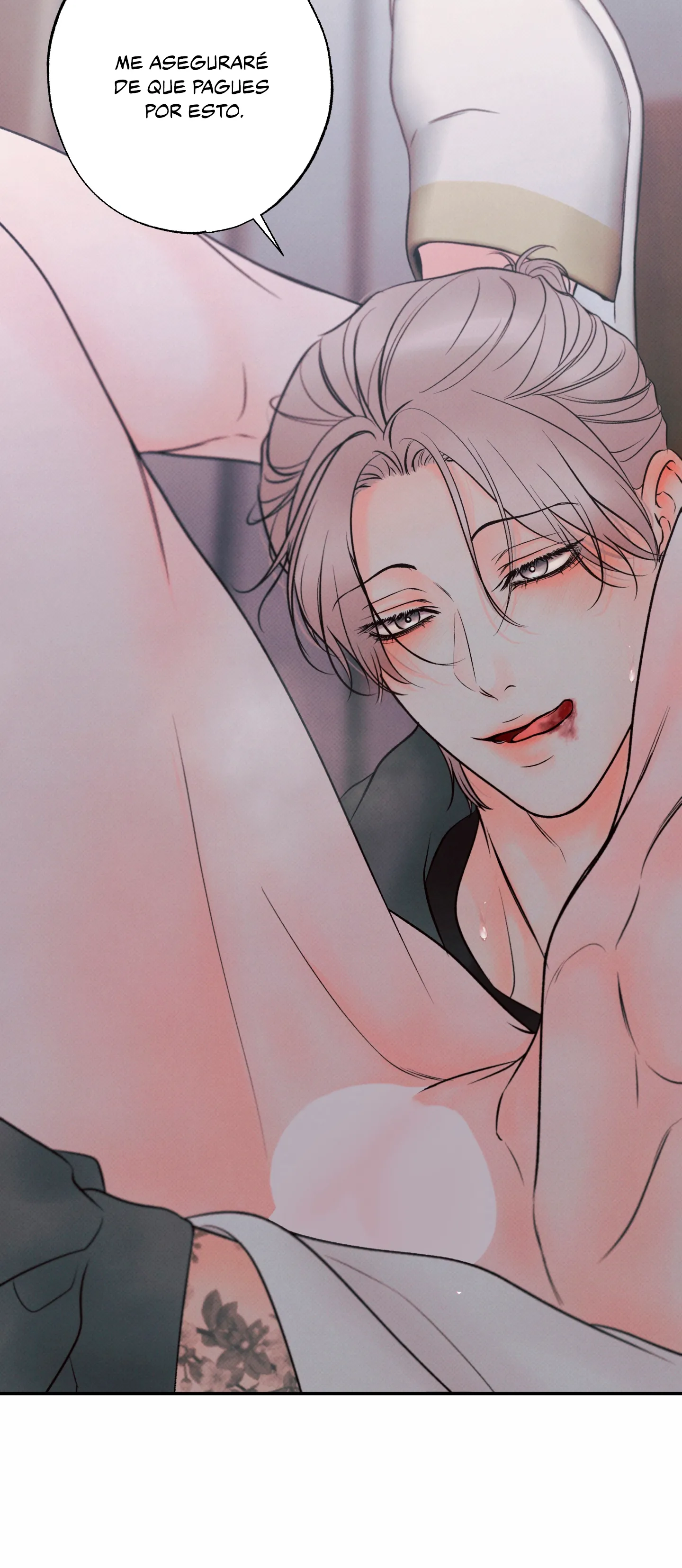 27 El limite del engaño