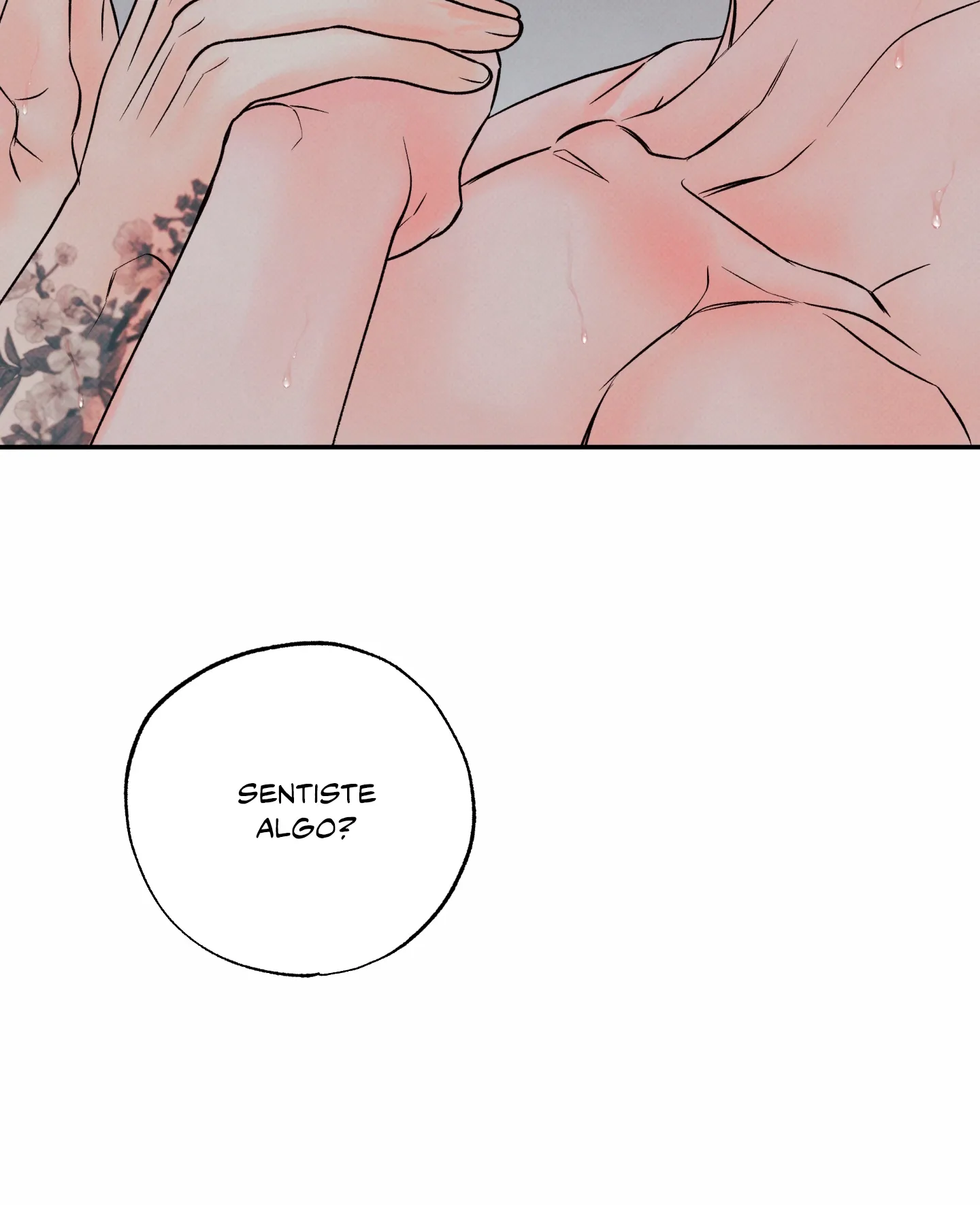 26 El limite del engaño