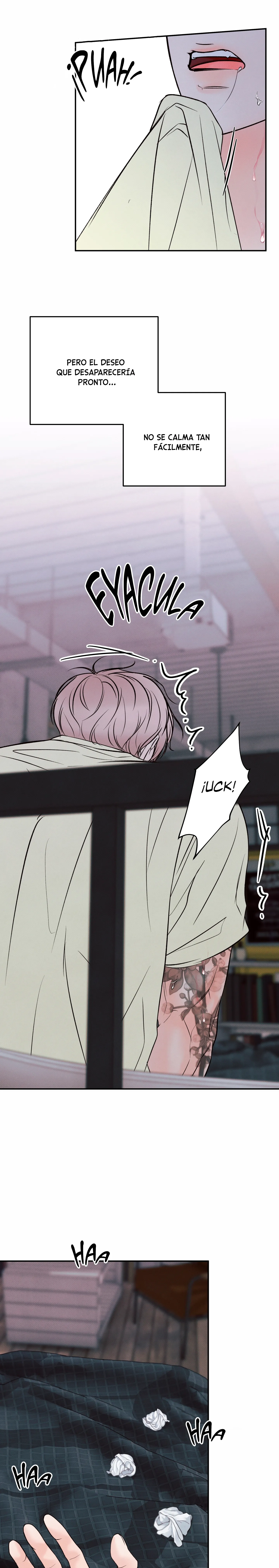 17 El limite del engaño