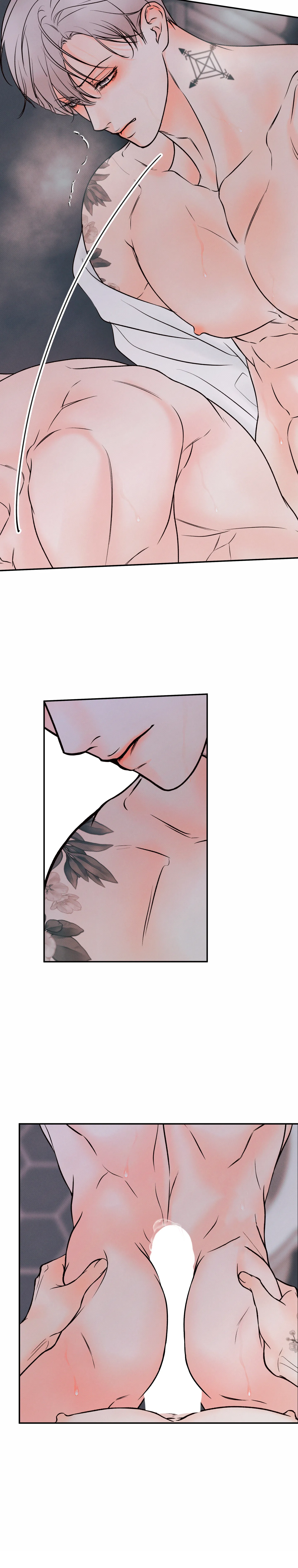 15 El limite del engaño