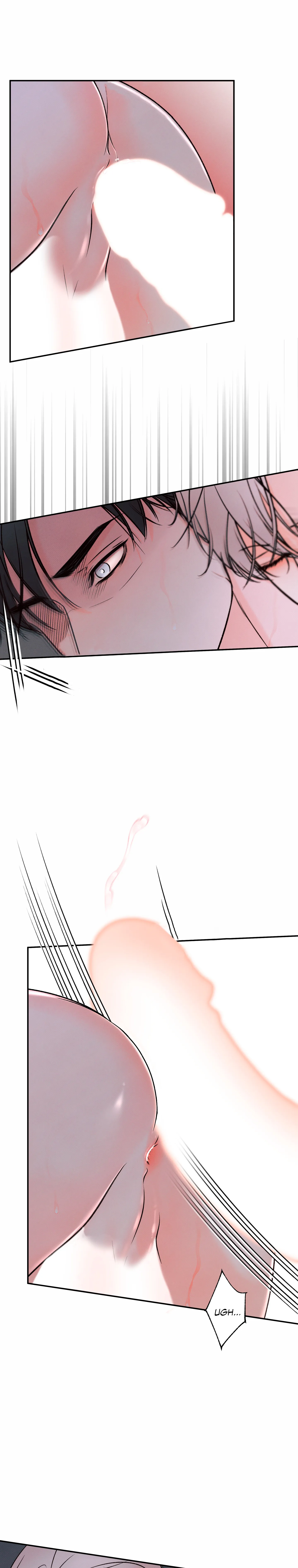 14 El limite del engaño