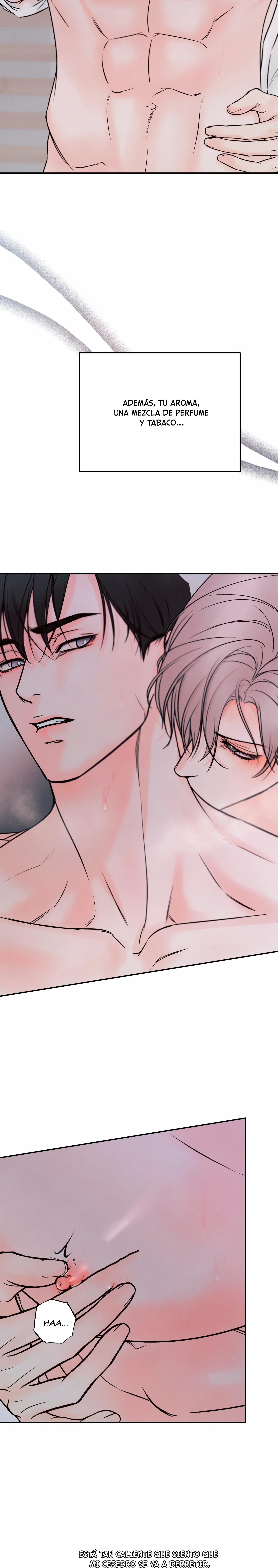 11 El limite del engaño