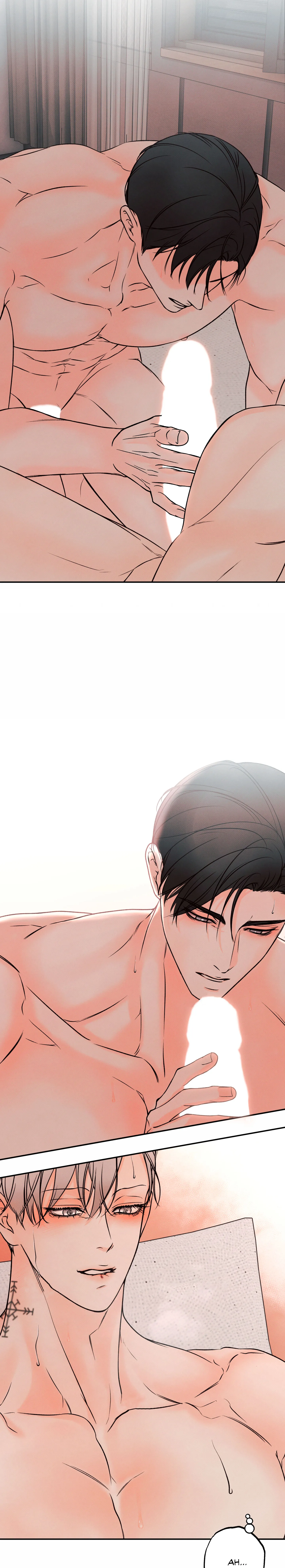 19 El limite del engaño