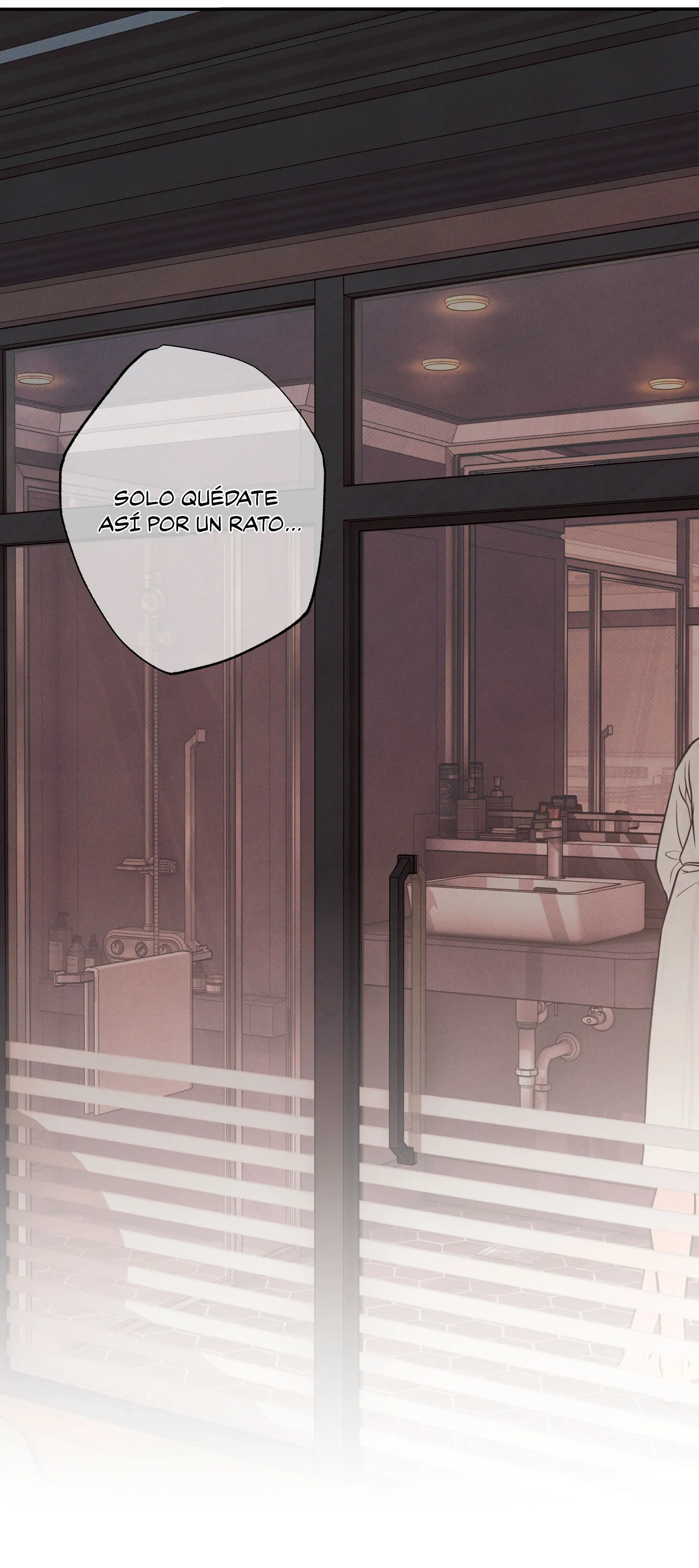 27 El limite del engaño