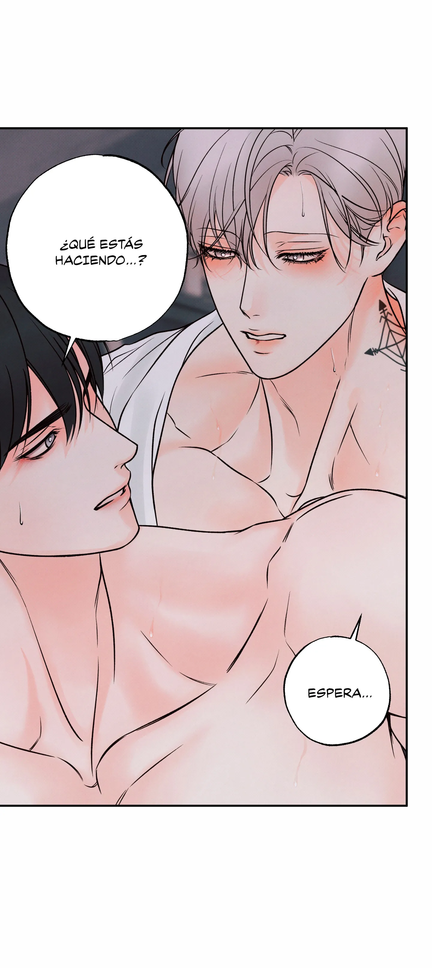 25 El limite del engaño