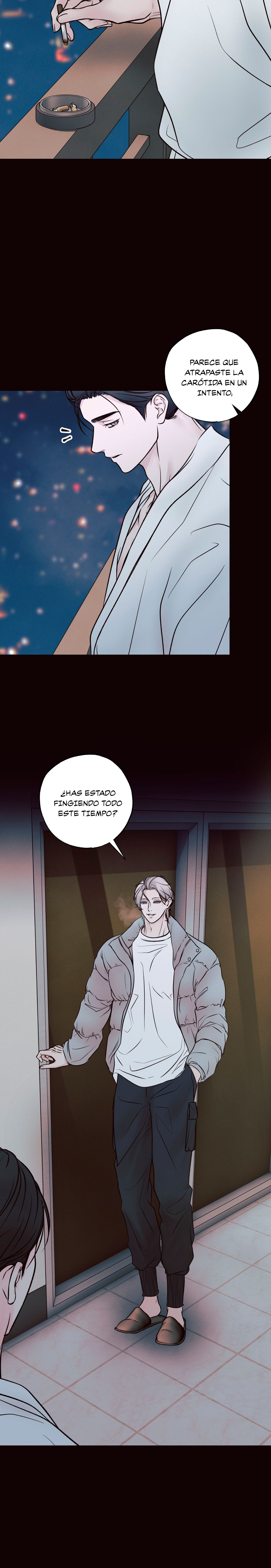 12 El limite del engaño