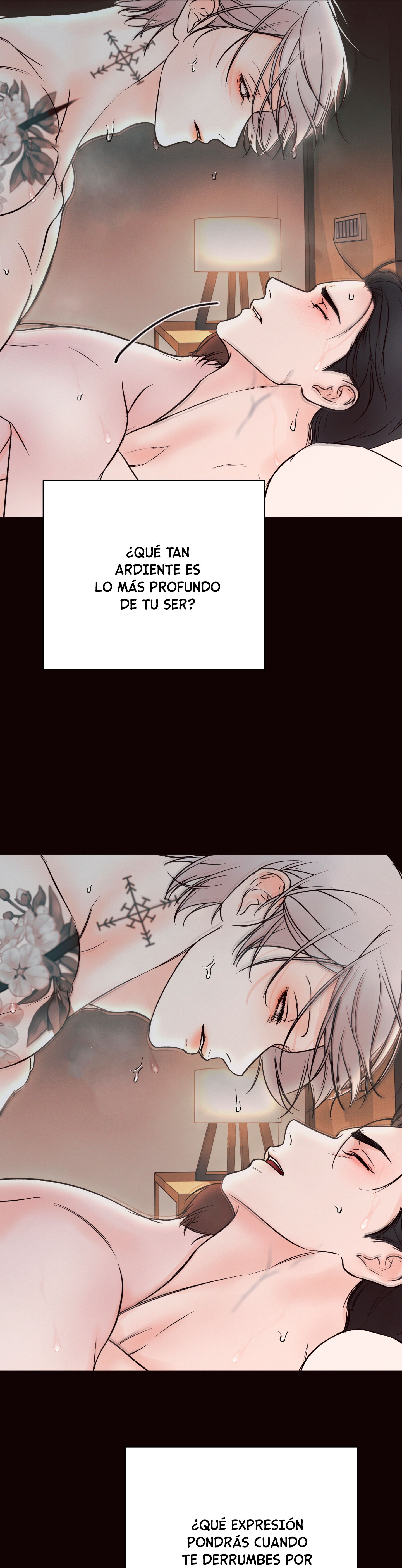 25 El limite del engaño