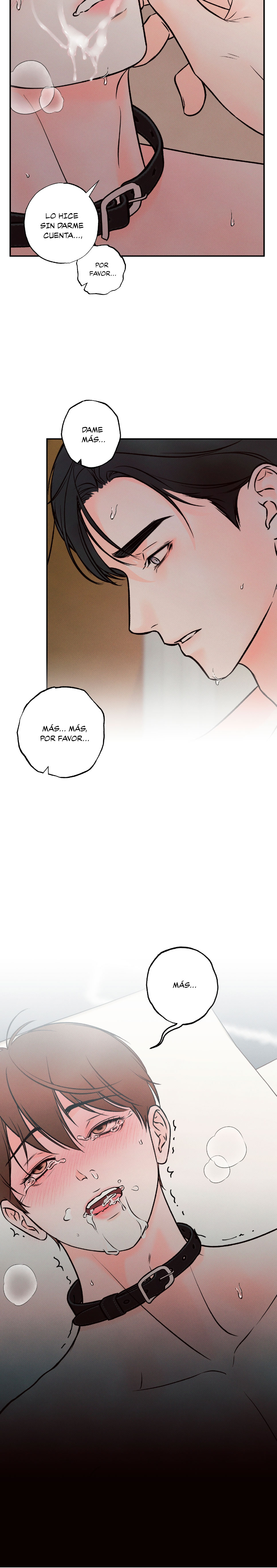 3 El limite del engaño