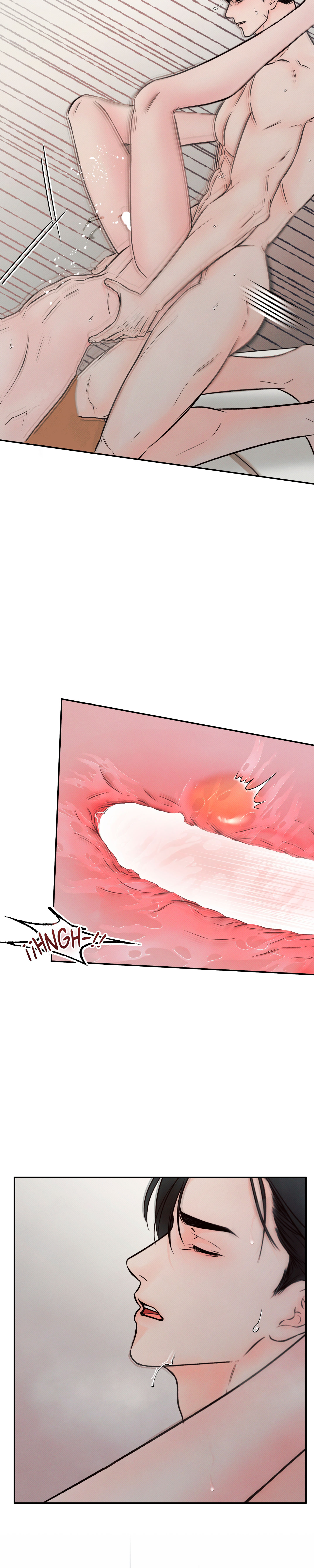 15 El limite del engaño