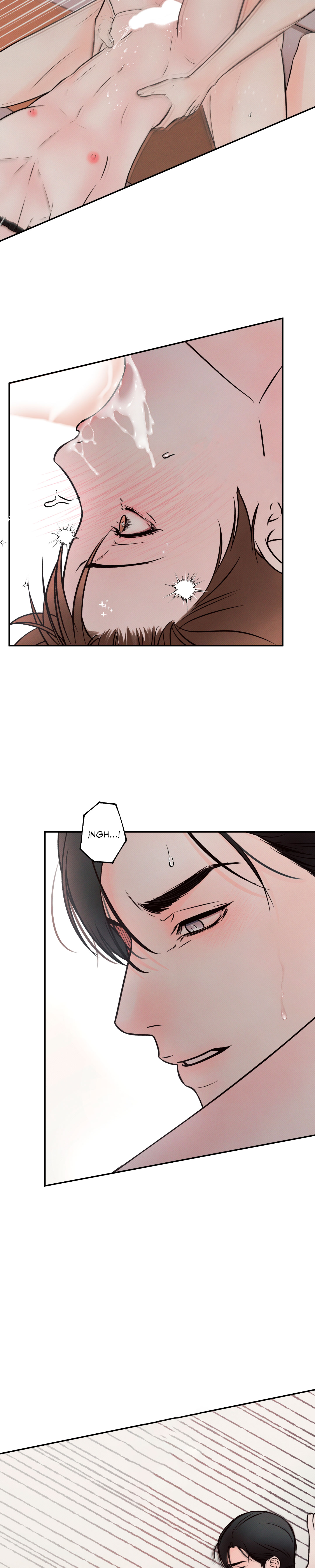 14 El limite del engaño