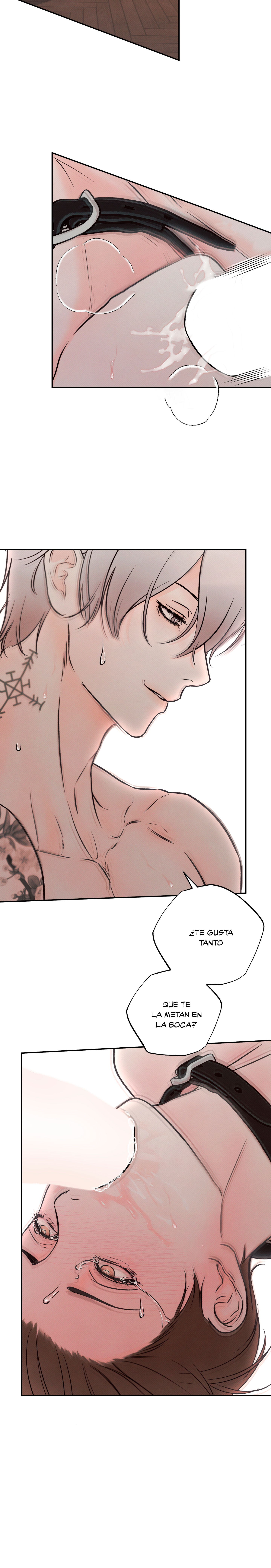 8 El limite del engaño