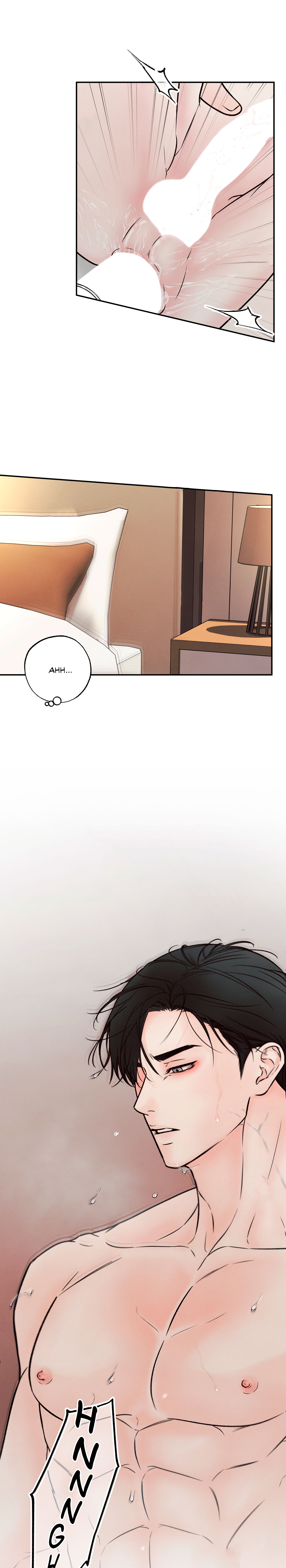 19 El limite del engaño