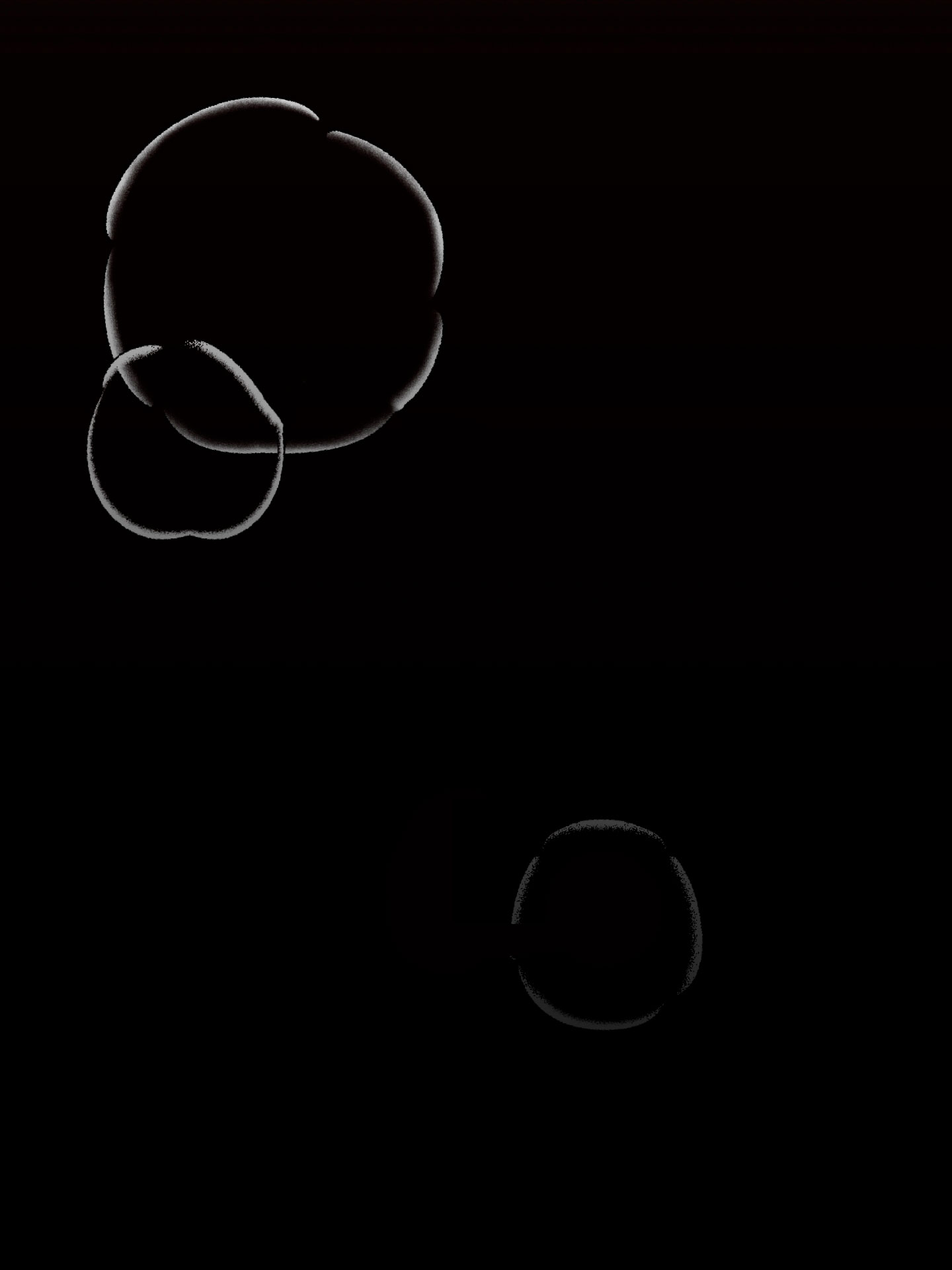 26 El limite del engaño