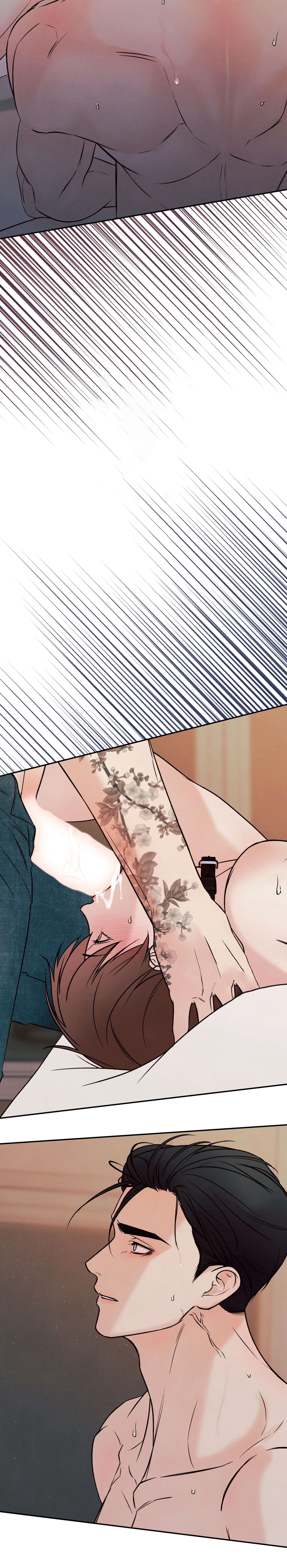 23 El limite del engaño