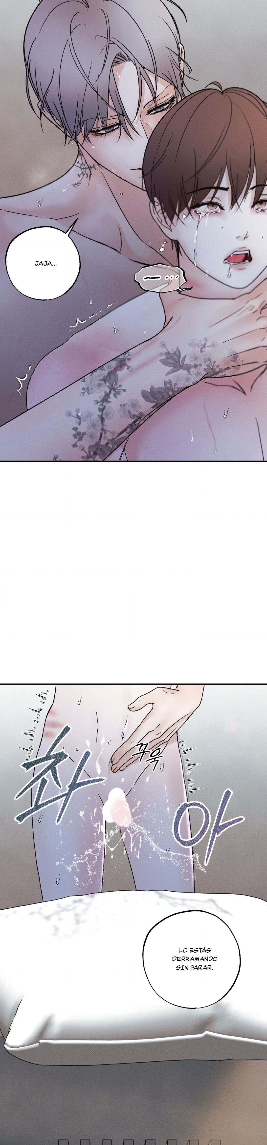 7 El limite del engaño