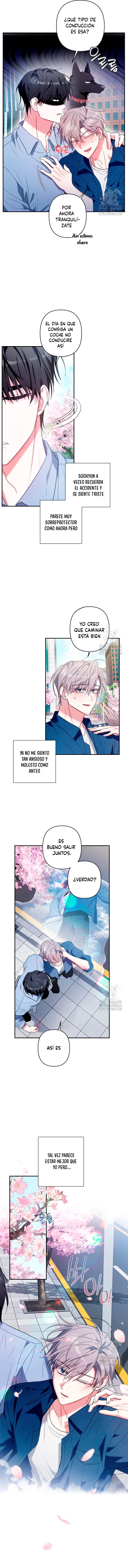 15 La cura universal para el amor