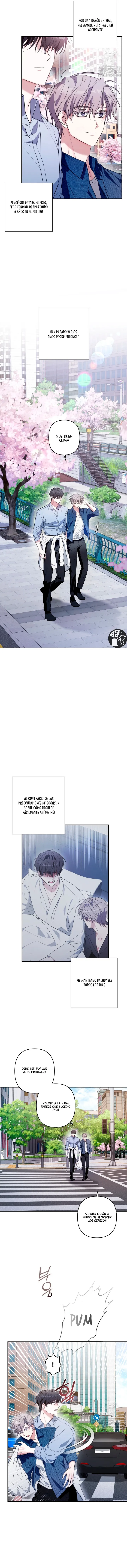 14 La cura universal para el amor