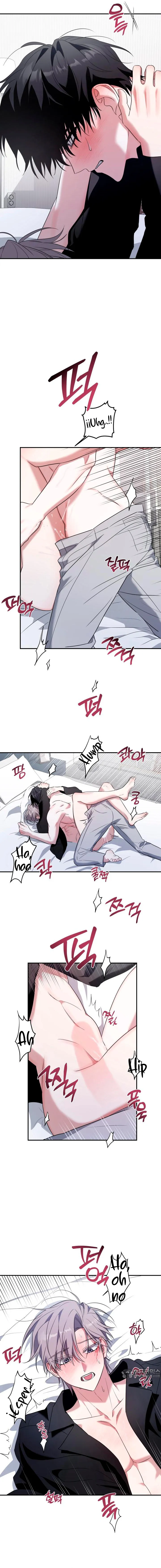 17 La cura universal para el amor