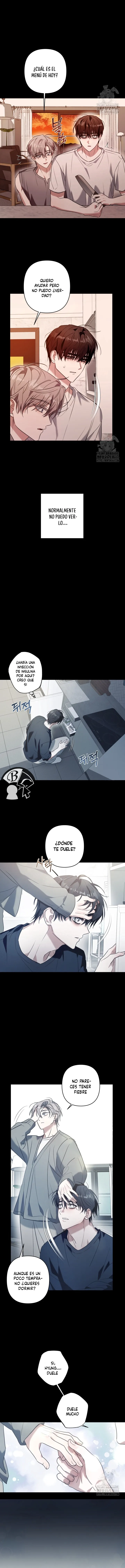 15 La cura universal para el amor