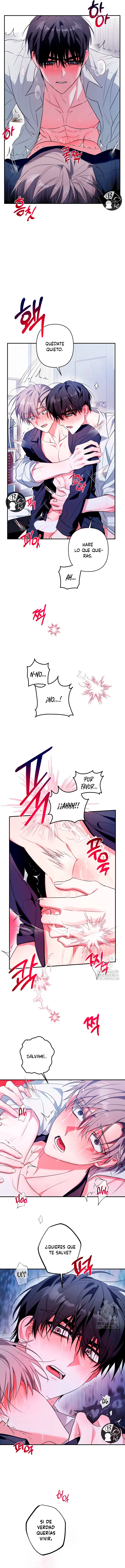 14 La cura universal para el amor