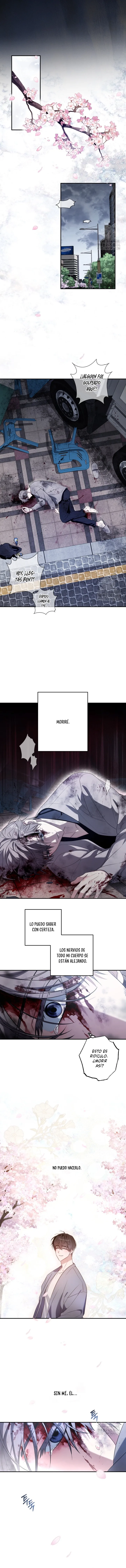 17 La cura universal para el amor