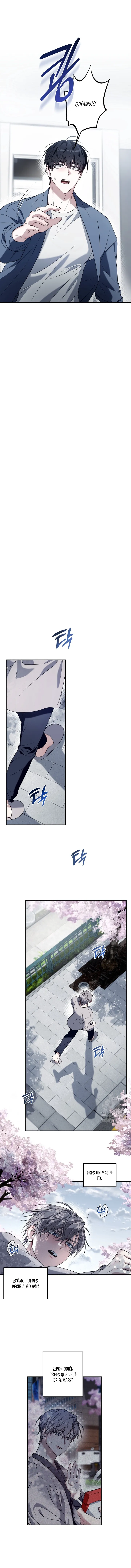 14 La cura universal para el amor