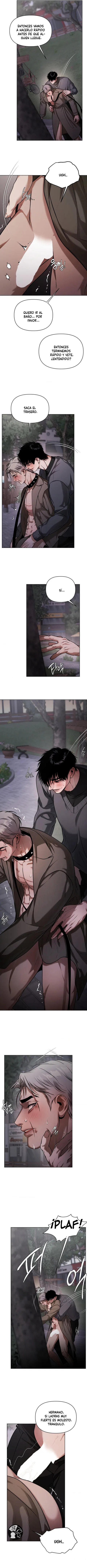 8 Recolector de cenizas