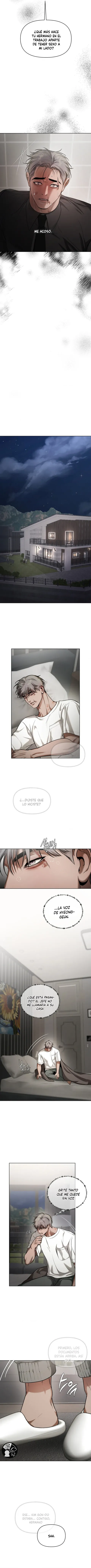 10 Recolector de cenizas