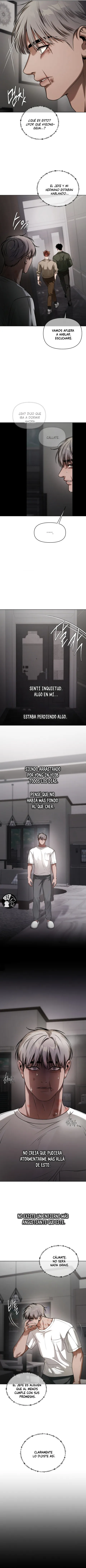 11 Recolector de cenizas