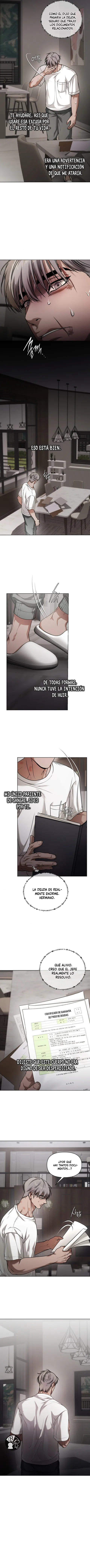 13 Recolector de cenizas