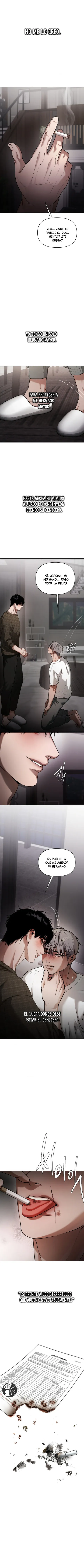 15 Recolector de cenizas