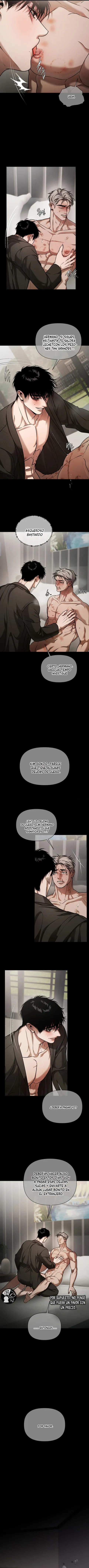 12 Recolector de cenizas