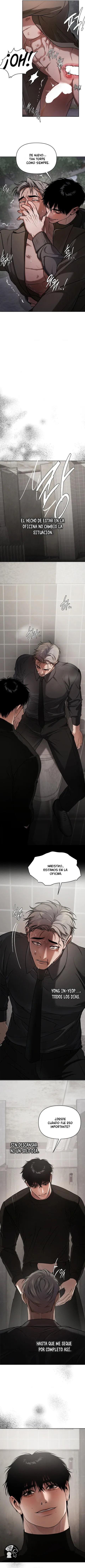 9 Recolector de cenizas