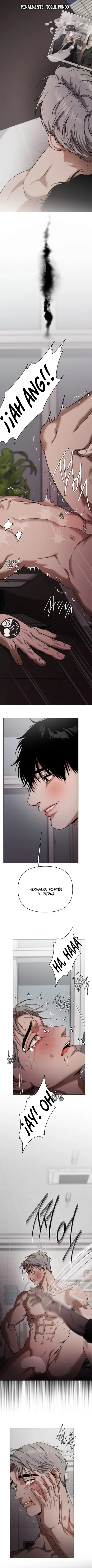 11 Recolector de cenizas