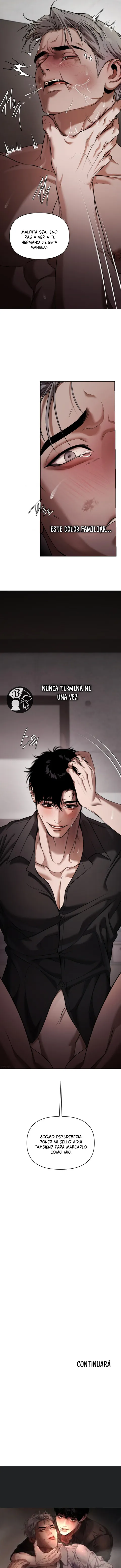 14 Recolector de cenizas