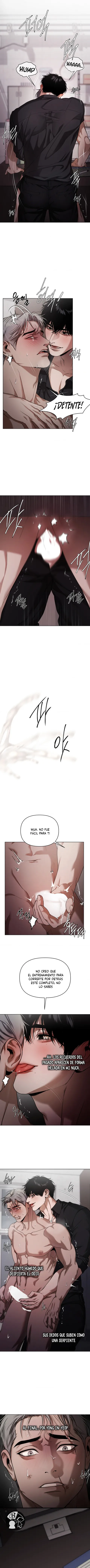 10 Recolector de cenizas