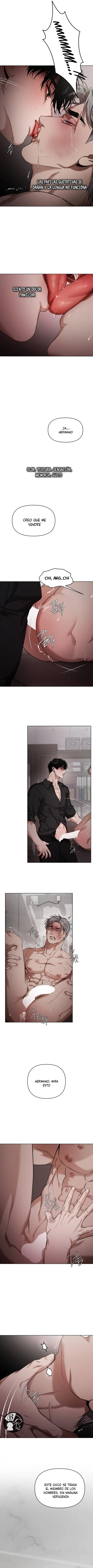 13 Recolector de cenizas