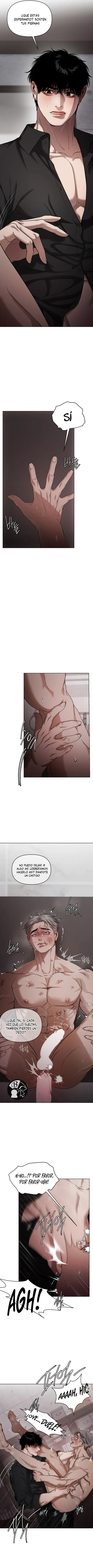 12 Recolector de cenizas