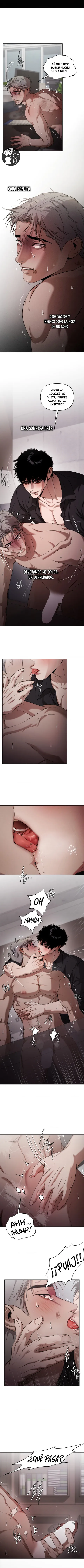 9 Recolector de cenizas