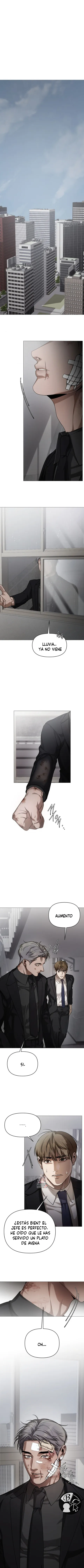 6 Recolector de cenizas