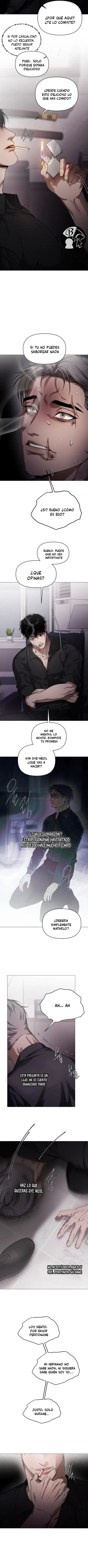 12 Recolector de cenizas