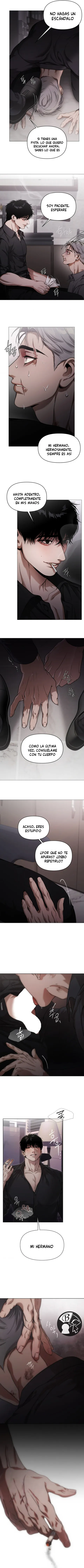 13 Recolector de cenizas