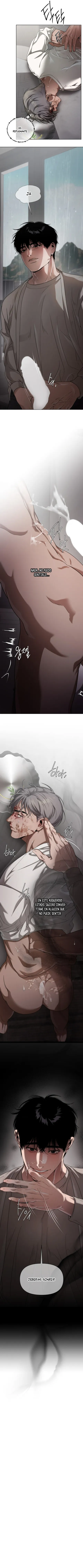 13 Recolector de cenizas