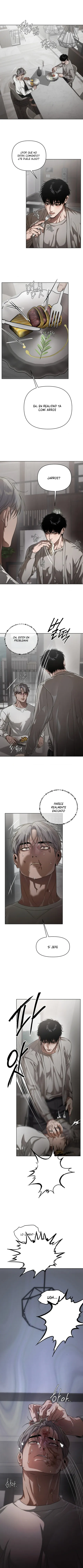 10 Recolector de cenizas