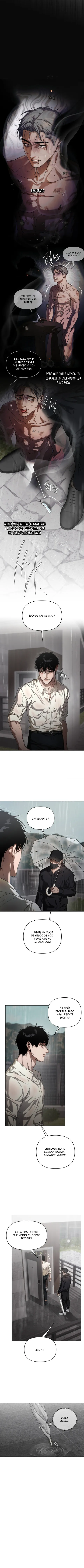 9 Recolector de cenizas