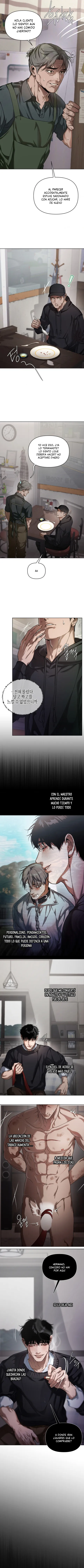 8 Recolector de cenizas